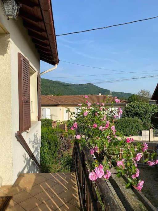 Appartement La Terrasse Du Fourcat à Saint-Paul-de-Jarrat Extérieur photo